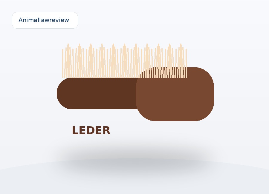 Lederpflege Bürste