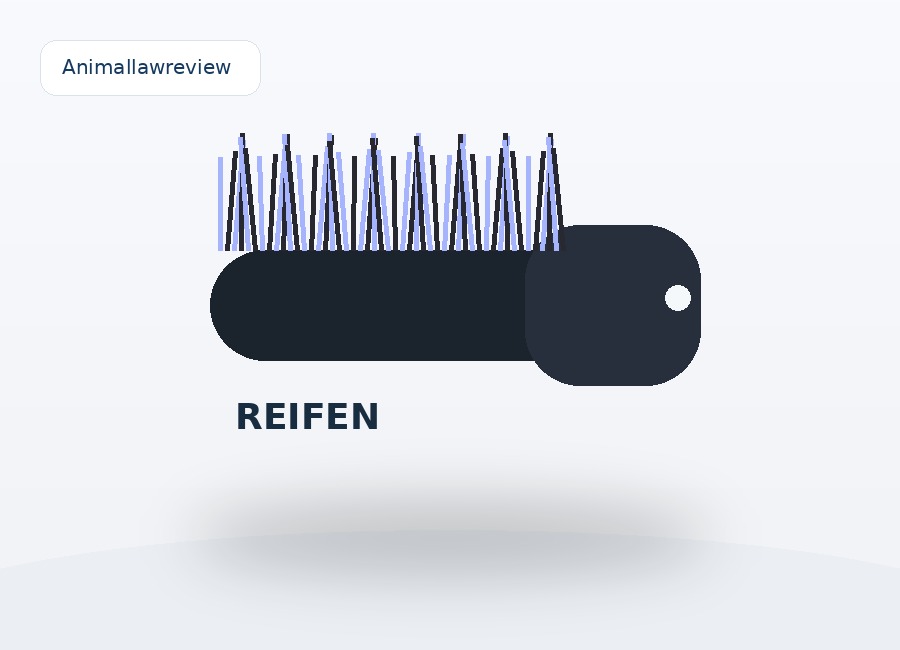 Reifenbürste Profi