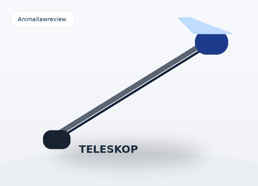 Teleskop Waschbürste